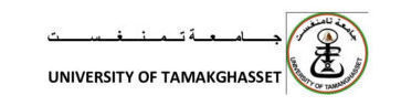 الموقع الرسمي لجامعة  تامنغست